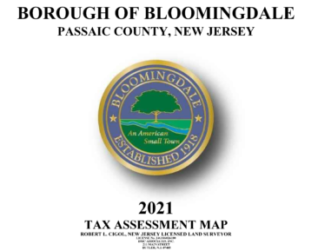 bloomingdale-tax-map-2021-icon